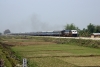 WDP4 20082 just west of Salakati with 14056 2330 (21/03) Delhi Jct - Dibrugarh