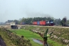 WDM3D 11138 heads an eastbound freight near Gasaigaon Hat, east of NJP