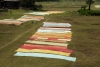Sheets drying at Gangarampur, West Bengal
