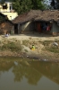 Life on the Old Malda - Singhabad line is in many cases back to basics, shown here between Bulbulchandi & Malda Court