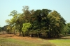 Approaching Badampahar, India