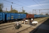 Sahibabad, India, this is what happens when people try to be clever at level crossings.....