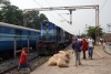 BNDM WDM3A 16143 (with 14144 dit) waits at Jharsuguda with 12872 0520 Titlagarh Jct - Howrah