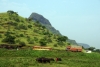 Ankai Hills near Manmad, Maharashtra