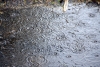 Rain at Sarola, between Ahmednagar & Daund, Maharashtra