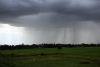 Monsoon Rains between Khurda Road & Puri, Orissa