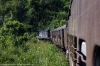 LMG YDM4 6457 leads 15693 0425 Lumding Jct - Silchar between Mailongdisa & Harangajao