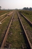 Bhelwa, Bihar; where the last remaining section of the Narkatiaganj Jct - Darbhanga line now terminates
