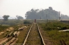 Bhelwa, Bihar; where the last remaining section of the Narkatiaganj Jct - Darbhanga line now terminates