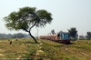 NKE YDM4 6465 arrives into Bhelwa with 52510 1000 Narkatiaganj Jct - Bhelwa