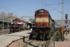 (L) RTM WDM2 (Jumbo) 17797 at Indore Jct after arrival with 59306 0815 Ujjain Jct - Indore Jct, (R) MGS WDM3A 18844 having arrived with 11472 2300 (26/02) Jabalpur - Indore