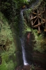 Shanklin Chine