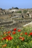 Pompeii Ruins from vantage point on Via dell'Abbondanza
