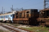 Podgorica Shed (ZCG) - 661273