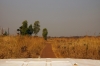 Dusty road from Nayuchi (Malawi) to Cuamba (Mozambique), the journey took 3 hours