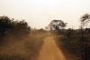 Dusty road from Nayuchi (Malawi) to Cuamba (Mozambique), the journey took 3 hours