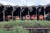 Maputo Roundhouse (L-R) Alsthom AD26C's & GE U20's D413, D98, D103, D401 & D108