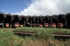 Maputo Roundhouse (L-R) Alsthom AD26C's & GE U20's D404, D414, D116, D413, D98, D103, D401 & D108