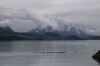 DS Blumlisalp on Lake Thun with #16 1510 Interlaken Ost - Thun