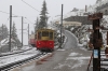 SPB (Schynige Platte) He2/2 #19, built in 1910, arrives into Schynige Platte with 649 1005 Wilderswil - Schynige Platte