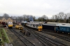 Nene Valley Railway, Wansford - DB Cargo's 60066, 31271/31452 & 50008 all on shed during the diesel gala