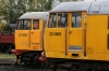 Nene Valley Railway Class 31 60th Anniversary Diesel Gala - Wansford (L-R) 31108 & 31465