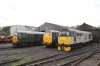 Nene Valley Railway Class 31 60th Anniversary Diesel Gala - 31452, 31459 & 31271 on Wansford Shed
