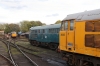 Nene Valley Railway Class 31 60th Anniversary Diesel Gala - 31452, 31162 & 31465 on Wansford Shed at the end of Day 1