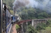 ONR X Class steam loco 37399 built in 2014 propels its train between Kallar & Adderley while working 56136 0710 Mettupalayam - Udagamandalam (Ooty)