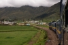 Peru Rail MLW DL560 #659 leads train 20 0800 Cusco Wanchaq - Puno as it approaches the summit of La Raya at 4319m