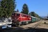 BDZ NG 75004 at Velingrad with 16103 0831 Septemvri - Dobrinishte