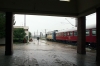 CFR Sulzer 621149 stands in the pouring rain at Rosiori Nord after arriving in tandem with 600748 on R9364 1220 Alexandria - Rosiori Nord; this train is booked to have a 2nd Sulzer dead in train but on this occasion both worked in tandem, possibly due to the heavy rain? 600748 had already shunted off to allow 621149 to run round and return to Alexandria as booked