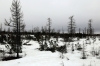 Siberian scenery on the AYaM near Taezhnaya, seen from 324YA 0756 Neryungi Pas. - Tommot