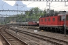 SBB Cargo Re6/6 11672 leads Re4/4 11334 through Arth Goldau with a freight while SBB Cargo Re6/6 11657 heads the other way with a ballast train