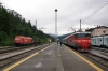 SZ 342022 is about to depart Borovnica with MV482 1155 Rijeka - Ljubljana; hired OBB 2016084 & SZ 664118 stand in line adjacent to work trains up to Prestranek