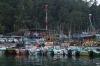 Sri Lanka - Mirissa Harbour prior to heading out whale-watching with Raja & the Whales