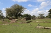 Sri Lanka - Anuradhapura Ruins