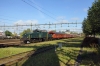 SBB Ce6/8 III 14305 arrives into Avesta Krylbo with 20865 0730 Gavle Railway Museum - Avesta Krylbo (Special Train for Gavle Railway Museum 100 year Electric event)