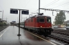 SBB Re4/4 11164 at Brunnen with IR2328 1347 Locarno - Basel