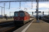 SBB Re4/4 11153 runs through Pfaffikon with IC10770 1038 Chur - Zurich HB