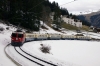 RhB Ge4/4 II #625 heads away from Litziruti with the Classic Alpine Pullman Express, train 2431 1020 Chur - Arosa; in conjunction with the Arosa line 100th anniversary