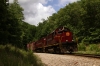 A&M Alco C420's 44/68 head the 1300 Springdale - Mountainburg NRHS Convention photo freight at Winslow Tunnel South Portal