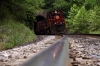 A&M Alco C420's 44/68 head the 1300 Springdale - Mountainburg NRHS Convention photo freight at Winslow Tunnel South Portal