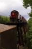 A&M Alco C420's 44/68 head the 1300 Springdale - Mountainburg NRHS Convention photo freight at Trestle No. 1 between Winslow & Mountainburg
