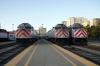 Caltrain San Francisco station EMD F40PH-2's #904 with 446 2015 San Francisco - San Jose Diridon & #'s 917/915 spare