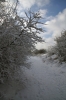 Footpath leading from the end of Warmsworth Halt, Warmsworth, to the Viaduct, Conisbrough